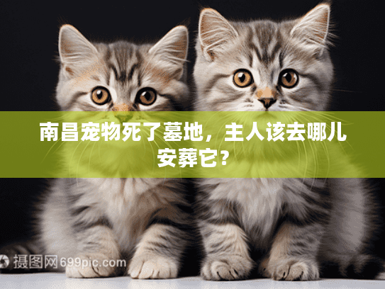 南昌宠物死了墓地，主人该去哪儿安葬它？