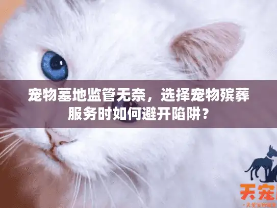 宠物墓地监管无奈,选择宠物殡葬服务时如何避开陷阱? 宠物墓地监管无奈,选择宠物殡葬服务时如何避开陷阱?