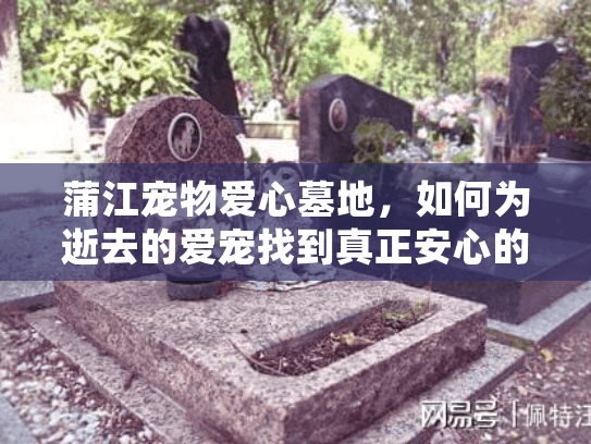 蒲江宠物爱心墓地，如何为逝去的爱宠找到真正安心的归宿？