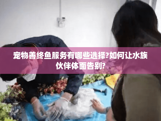 宠物善终鱼服务有哪些选择?如何让水族伙伴体面告别?