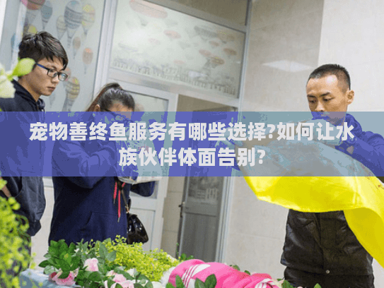 宠物善终鱼服务有哪些选择?如何让水族伙伴体面告别?