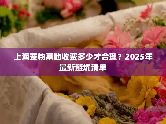 上海宠物墓地收费多少才合理?2025年最新避坑清单 上海宠物墓地收费多少才合理?2025年最新避坑清单