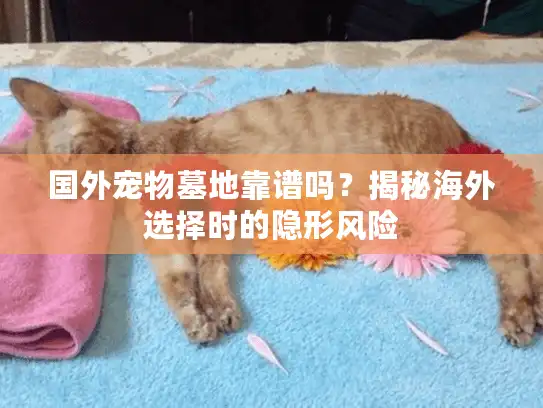 国外宠物墓地靠谱吗？揭秘海外选择时的隐形风险
