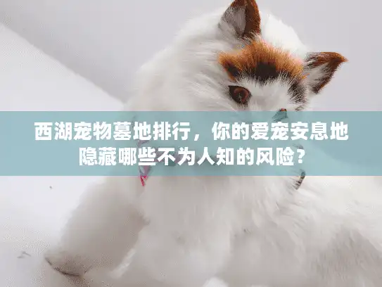 西湖宠物墓地排行,你的爱宠安息地隐藏哪些不为人知的风险? 西湖宠物墓地排行,你的爱宠安息地隐藏哪些不为人知的风险?