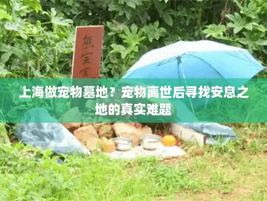上海做宠物墓地?宠物离世后寻找安息之地的真实难题 上海做宠物墓地?宠物离世后寻找安息之地的真实难题