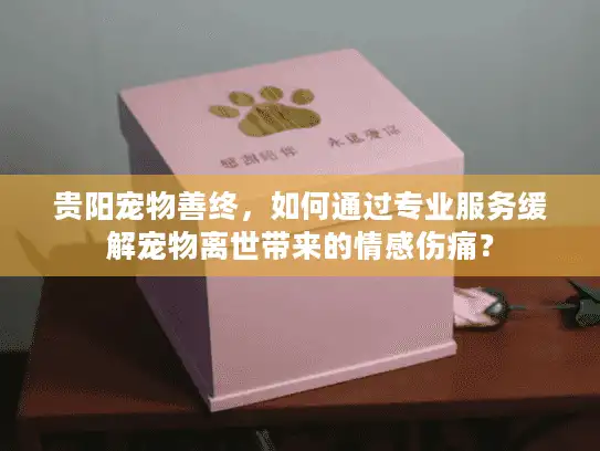 贵阳宠物善终，如何通过专业服务缓解宠物离世带来的情感伤痛？