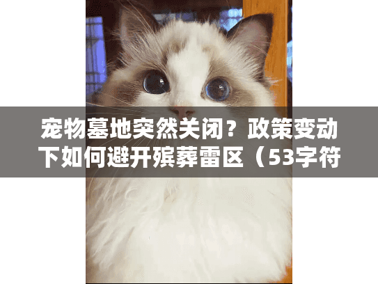 宠物墓地突然关闭？政策变动下如何避开殡葬雷区（53字符）