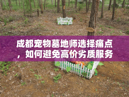 成都宠物墓地师选择痛点，如何避免高价劣质服务？