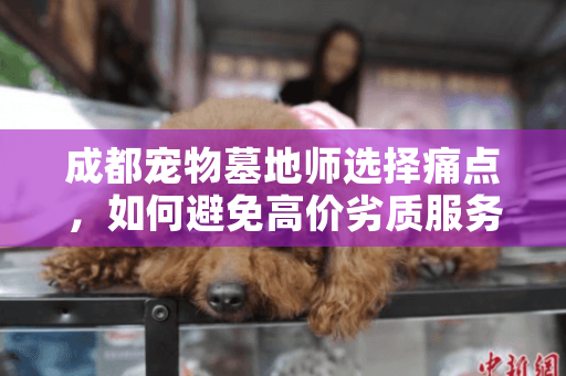 成都宠物墓地师选择痛点，如何避免高价劣质服务？