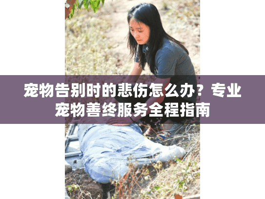 宠物告别时的悲伤怎么办?专业宠物善终服务全程指南 宠物告别时的悲伤怎么办?专业宠物善终服务全程指南