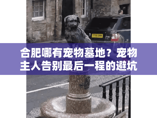 合肥哪有宠物墓地？宠物主人告别最后一程的避坑必读手册