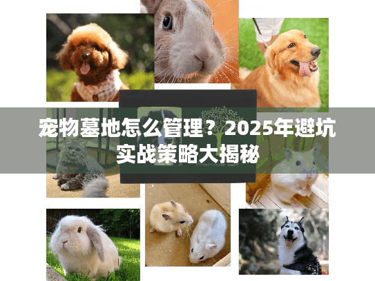 宠物墓地怎么管理？2025年避坑实战策略大揭秘