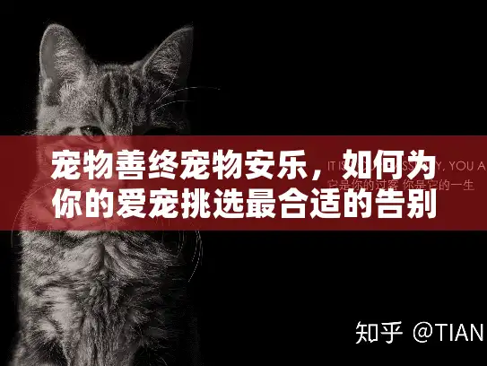 宠物善终宠物安乐，如何为你的爱宠挑选最合适的告别服务？