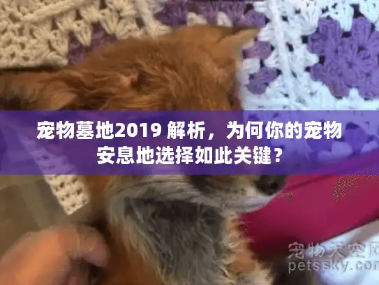 宠物墓地2019 解析,为何你的宠物安息地选择如此关键? 宠物墓地2019 解析,为何你的宠物安息地选择如此关键?