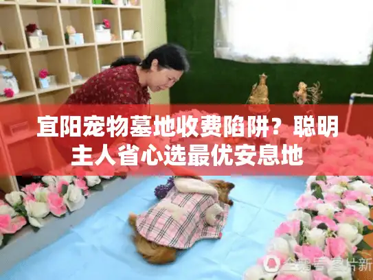 宜阳宠物墓地收费陷阱？聪明主人省心选最优安息地