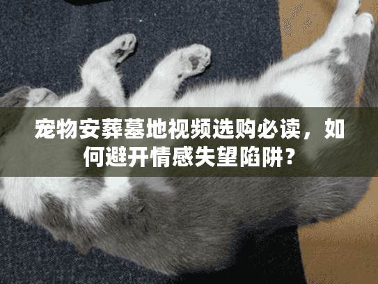 宠物安葬墓地视频选购必读，如何避开情感失望陷阱？