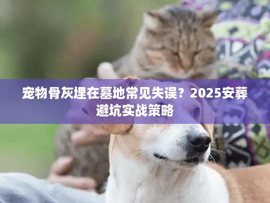 宠物骨灰埋在墓地常见失误？2025安葬避坑实战策略