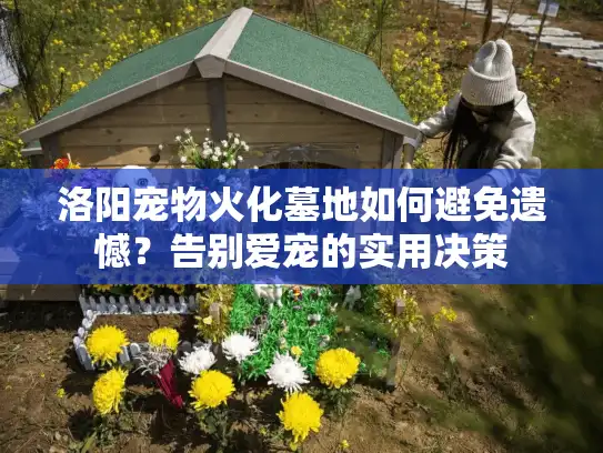 洛阳宠物火化墓地如何避免遗憾？告别爱宠的实用决策