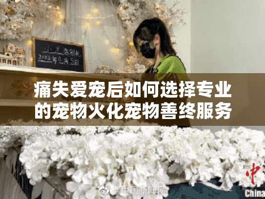 痛失爱宠后如何选择专业的宠物火化宠物善终服务？