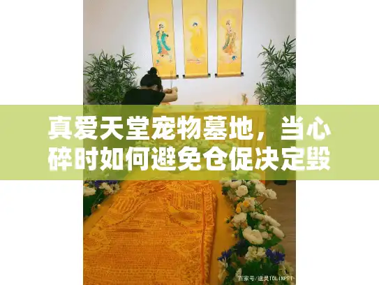 真爱天堂宠物墓地，当心碎时如何避免仓促决定毁了宠物的最后旅程？