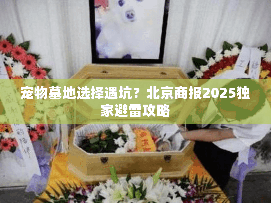 宠物墓地选择遇坑？北京商报2025独家避雷攻略