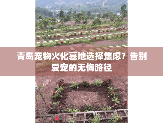 青岛宠物火化墓地选择焦虑?告别爱宠的无悔路径 青岛宠物火化墓地选择焦虑?告别爱宠的无悔路径
