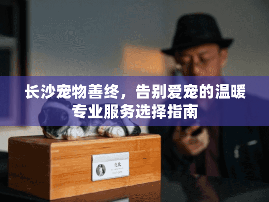 长沙宠物善终，告别爱宠的温暖专业服务选择指南