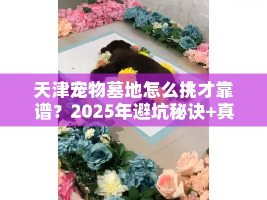 天津宠物墓地怎么挑才靠谱?2025年避坑秘诀+真实现场攻略 天津宠物墓地怎么挑才靠谱?2025年避坑秘诀+真实现场攻略