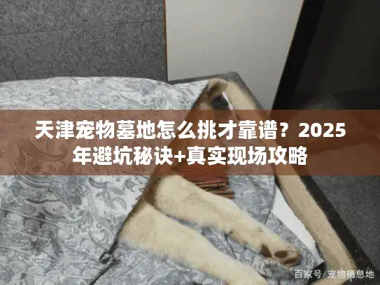 天津宠物墓地怎么挑才靠谱?2025年避坑秘诀+真实现场攻略 天津宠物墓地怎么挑才靠谱?2025年避坑秘诀+真实现场攻略
