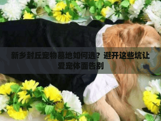 新乡封丘宠物墓地如何选？避开这些坑让爱宠体面告别