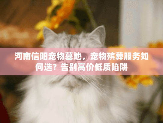河南信阳宠物墓地，宠物殡葬服务如何选？告别高价低质陷阱