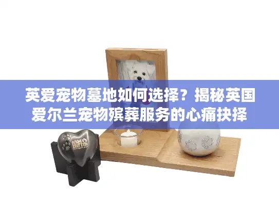 英爱宠物墓地如何选择？揭秘英国爱尔兰宠物殡葬服务的心痛抉择
