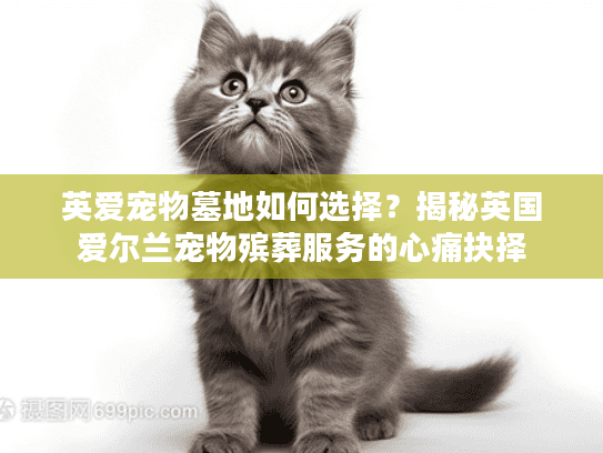 英爱宠物墓地如何选择？揭秘英国爱尔兰宠物殡葬服务的心痛抉择
