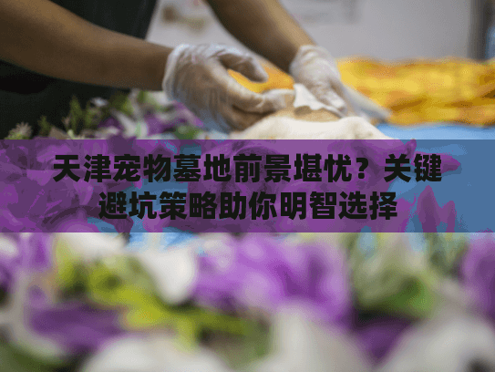 天津宠物墓地前景堪忧？关键避坑策略助你明智选择