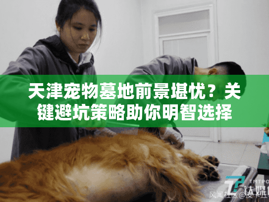 天津宠物墓地前景堪忧？关键避坑策略助你明智选择