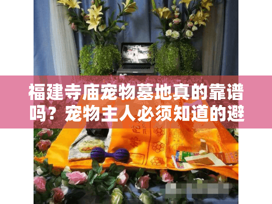 福建寺庙宠物墓地真的靠谱吗？宠物主人必须知道的避坑指南
