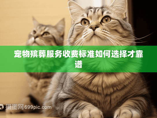 宠物殡葬服务收费标准如何选择才靠谱 宠物殡葬服务收费标准如何选择才靠谱