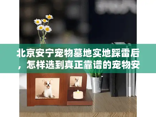 北京安宁宠物墓地实地踩雷后，怎样选到真正靠谱的宠物安葬地？