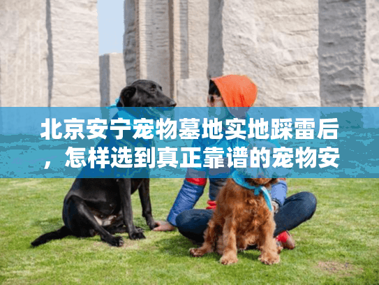 北京安宁宠物墓地实地踩雷后，怎样选到真正靠谱的宠物安葬地？