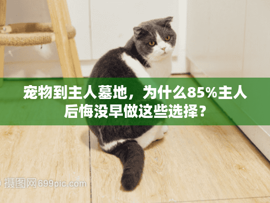 宠物到主人墓地，为什么85%主人后悔没早做这些选择？