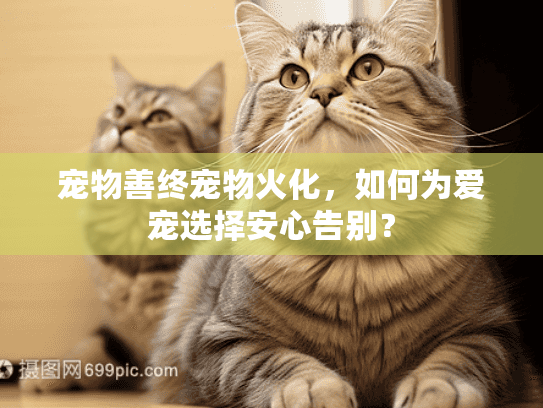 宠物善终宠物火化，如何为爱宠选择安心告别？