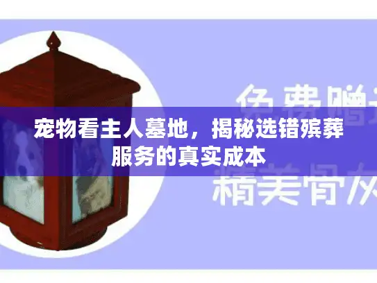 宠物看主人墓地,揭秘选错殡葬服务的真实成本 宠物看主人墓地,揭秘选错殡葬服务的真实成本
