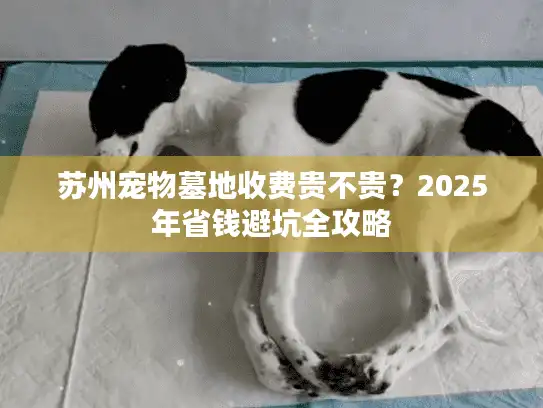 苏州宠物墓地收费贵不贵？2025年省钱避坑全攻略
