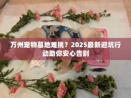 万州宠物墓地难挑？2025最新避坑行动助你安心告别