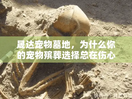 晟达宠物墓地，为什么你的宠物殡葬选择总在伤心后后悔？