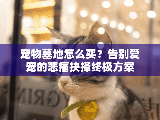 宠物墓地怎么买?告别爱宠的悲痛抉择终极方案 宠物墓地怎么买?告别爱宠的悲痛抉择终极方案