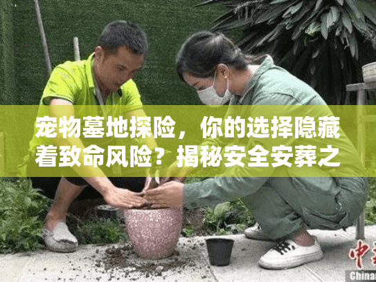 宠物墓地探险,你的选择隐藏着致命风险?揭秘安全安葬之道 宠物墓地探险,你的选择隐藏着致命风险?揭秘安全安葬之道