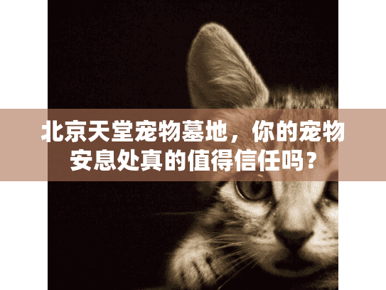 北京天堂宠物墓地，你的宠物安息处真的值得信任吗？