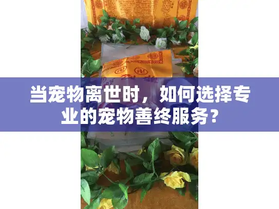 当宠物离世时，如何选择专业的宠物善终服务？