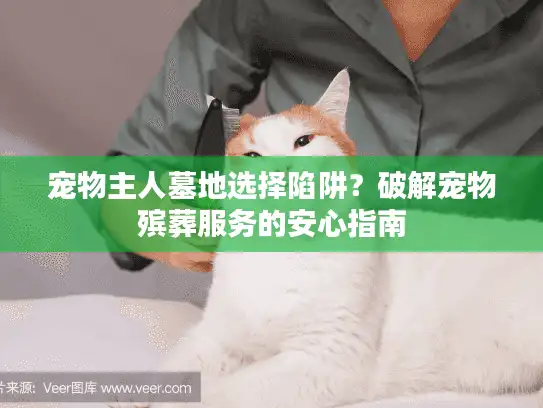 宠物主人墓地选择陷阱？破解宠物殡葬服务的安心指南